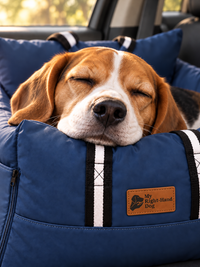 Pawvana anchored car bed — feel
