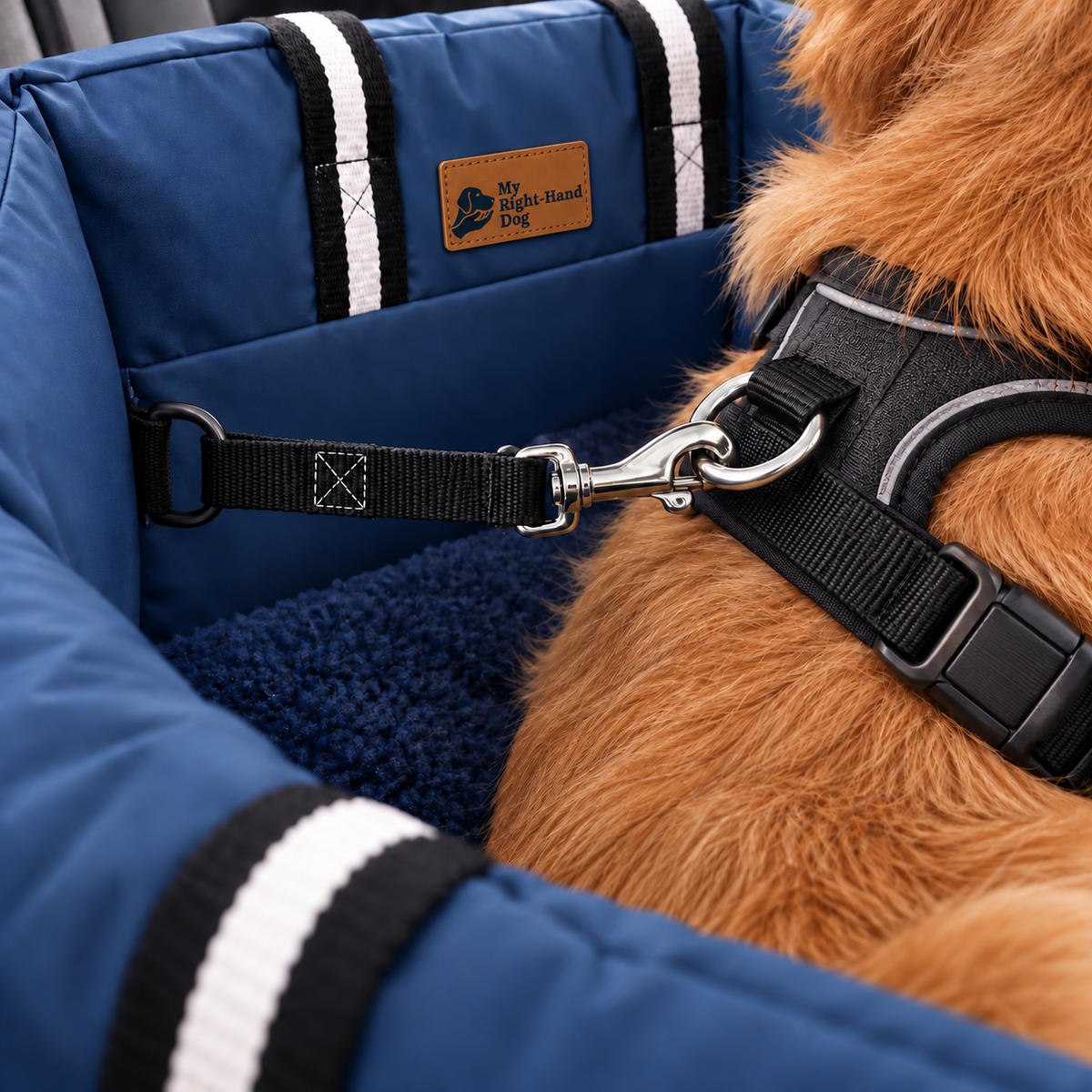 Pawvana anchored car bed — gms3
