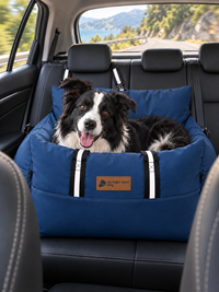 Pawvana anchored car bed — hero_p1