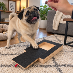 Pawvana mq01