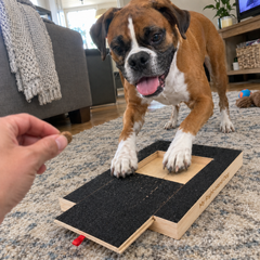 Pawvana mq04