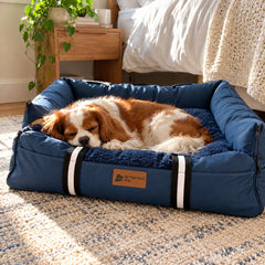Pawvana anchored car bed