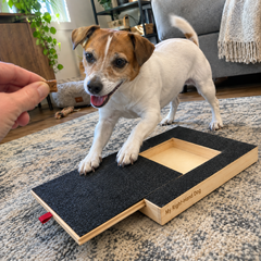 Pawvana mq07