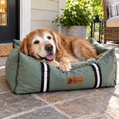 Pawvana anchored car bed