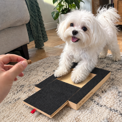 Pawvana mq11
