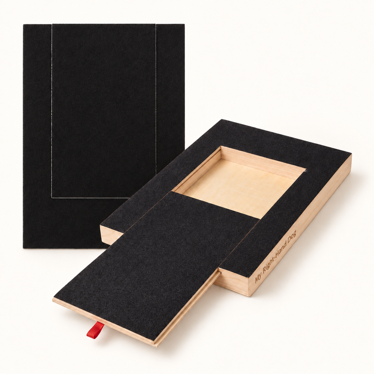 Pawvana Scratch & Treat Board — Big-pack set (6 surfaces + free brush) — packshot